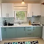 2+1 House In Center With Sea View And Big Private Garden Apartament